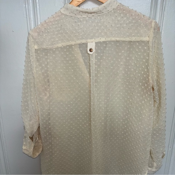 Lumiere Off-White Swiss dot Sheer Blouse - Picture 3 of 9